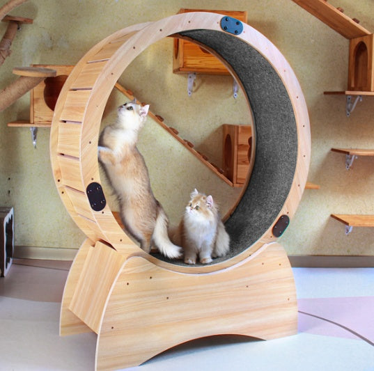 Cat Gym Wheels - Fun For Running, Spinning And Scratching, Cat Treadmill With Carpeted Track, Cat Sports Toys, Great For Physical Activity And Reducing Boredom